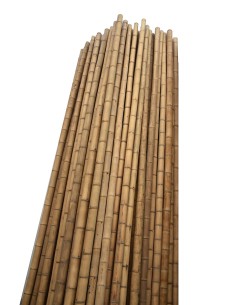 BAMBU DECORATIVO 150CM/12-14CM