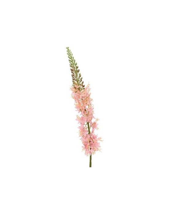 JACINTO DE COLA DE ZORRO EN TALLO 98CM ROSA