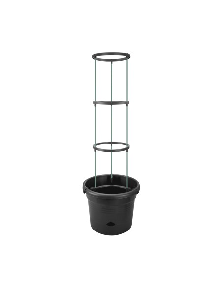 Maceta GB Tomates 33 cm Negra para Cultivo Interior y Exterior | Endanea Garden