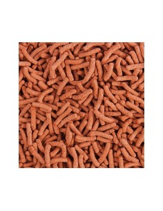 Koi Goldfish Color Stick 20L | Alimento Completo para Peces Ornamentales