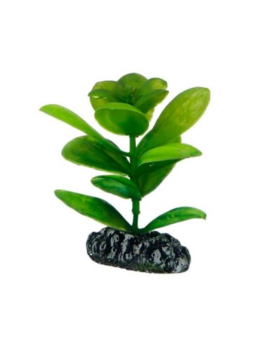 Planta Saururus 17CM Artificial para Acuario Decoración Realista