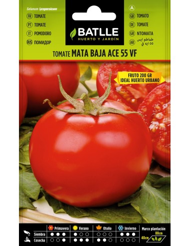 SEMILLA TOMATE ACE 55 VF