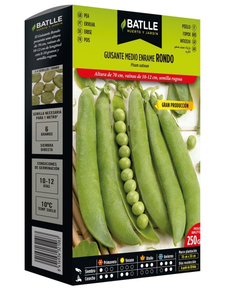 Semillas de Guisante 1/2 Enrame  Cultivo Fácil y Cosechas Abundantes