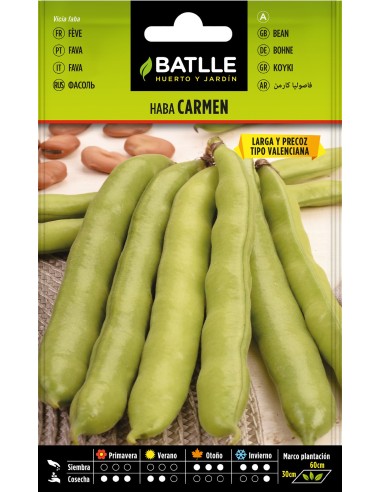 SEMILLA HABA CARMEN 250GR BATLLE