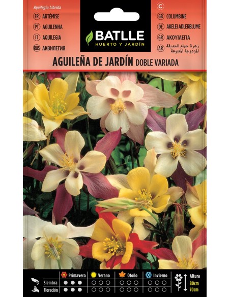 Semillas Aguileña de Jardín - Flores Coloridas y Fácil Cultivo | Endanea Garden