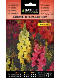 SEMILLA ANTIRRINO ALTO FLOR GRANDE BATLLE