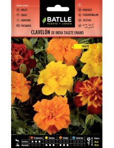 SEMILLA CLAVELON DE LA INDIA TAGETE ENANO