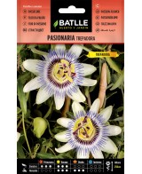 SEMILLA PASIONARIA TREPADORA BATLLE