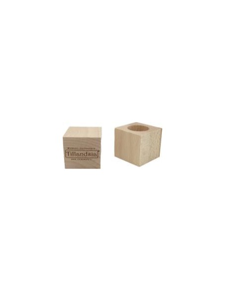 Soporte Tillandsia Essenziale S Madera de Haya 40x40x40mm  Elegancia Natural para Plantas Aéreas