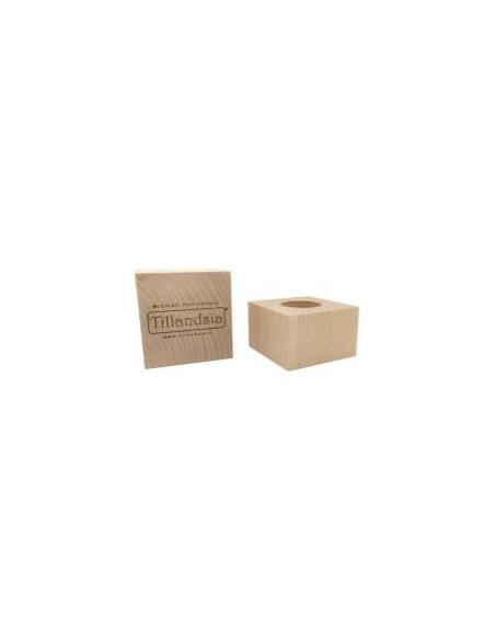 Soporte Tillandsia Essenziale L Madera de Haya 70x70x70mm  Base Elegante para Plantas Aéreas