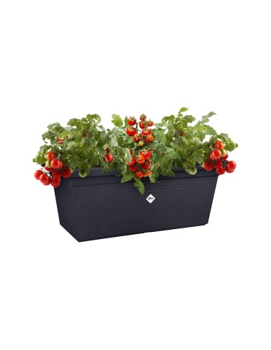 Jardinera G.B. Rectangular XXL 60 cm Negro | Maceta Moderna y Funcional para Jardín y Terraza | Endanea Garden