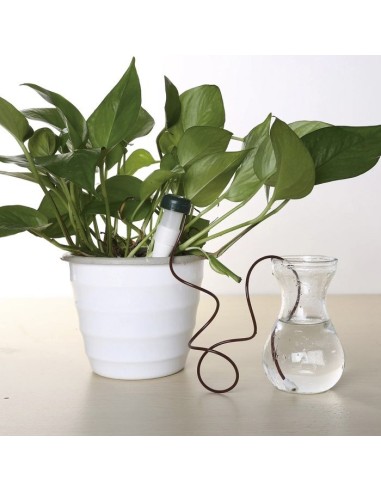 CONO CERAMICO RIEGO PLANTAS