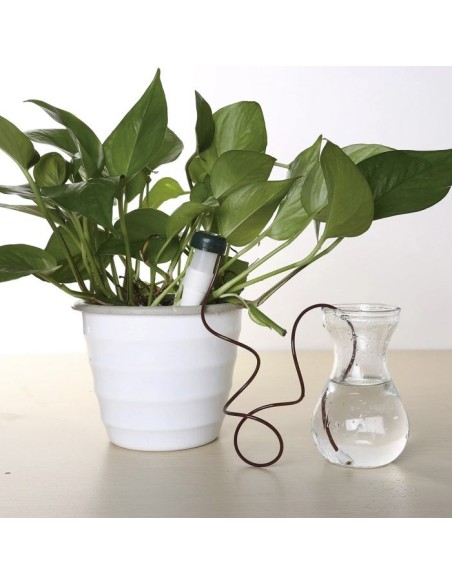 CONO CERAMICO RIEGO PLANTAS