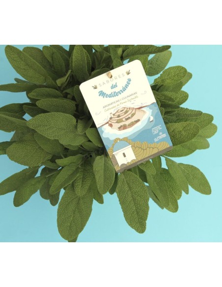 SALVIA OFFICINALIS M13