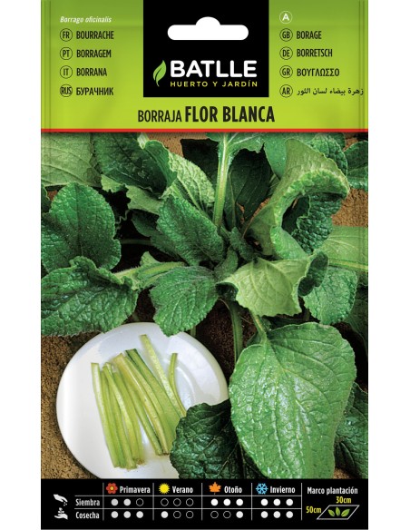 SEMILLA BORRAJA FLOR BLANCA