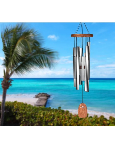 CAMPANA DE VIENTO CALYPSO