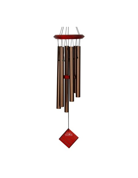 CAMPANA VIENTO ENCORE PLUTON-BRIONCE
