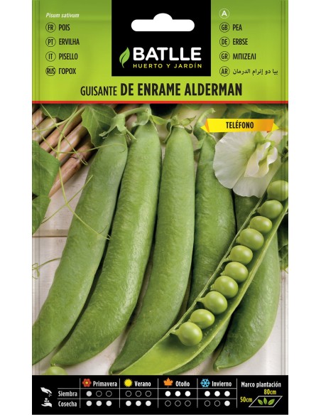 Semillas de Guisante de Enrame Alderman - Cultivo Fácil y Cosechas Abundantes