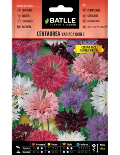 SEMILLA CENTAUREA VARIADA DOBLE BATLLE