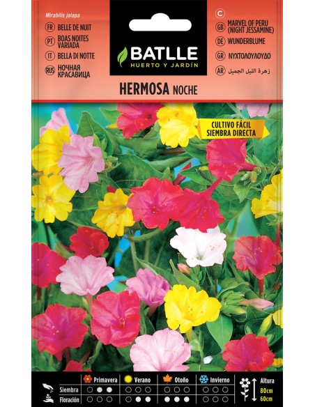 SEMILLA HERMOSA DE NOCHE