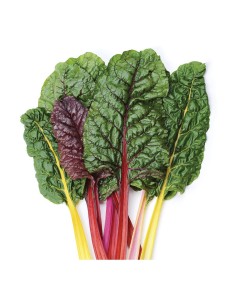 ACELGA COLORES  PACK 1