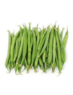 JUDIA REDONDA ENRAME PACK 6