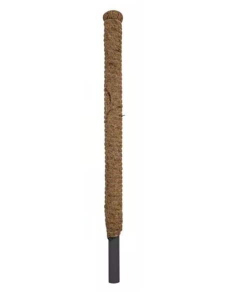 Tutor Fibra de Coco BRICOMED 80 cm  Soporte Natural para Plantas Trepadoras | Endanea Garden