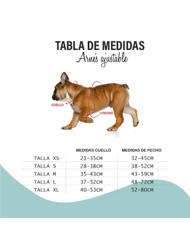 Bull Arnés Regulable Fun Walk Talla M | Comodidad y Control para Perros Medianos | Endanea Mascotas