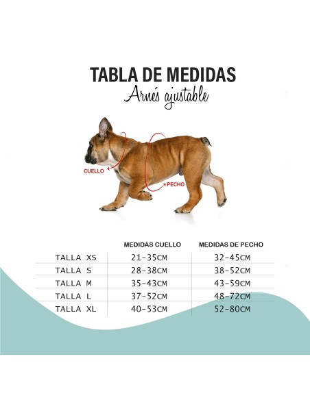 Bull Arnés Regulable Fun Walk Talla M | Comodidad y Control para Perros Medianos | Endanea Mascotas