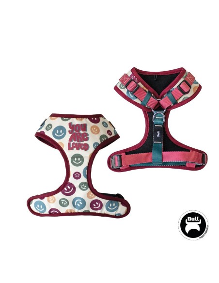 Bull Arnés Regulable Fun Walk Talla L | Comodidad y Seguridad para Perros Grandes | Endanea Mascotas