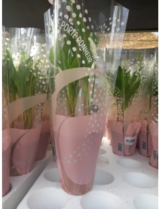 MUGUET EXTRA   2 BRINS 2