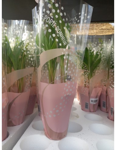 MUGUET EXTRA   2 BRINS