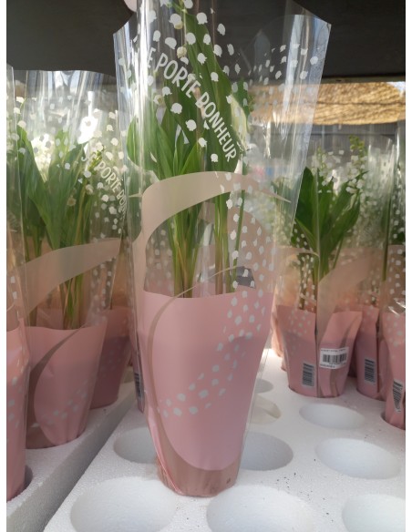 MUGUET EXTRA   2 BRINS