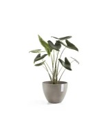 Tiestos Antwerp 30 Taupe - Maceta Elegante y Moderna para Jardín | Endanea Garden

