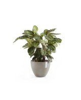 Tiestos Antwerp 30 Taupe - Maceta Elegante y Moderna para Jardín | Endanea Garden

