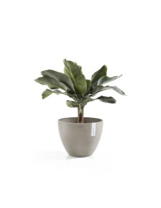 Tiestos Antwerp 40 Taupe | Macetero Elegante y Resistente para Jardín y Terraza 2