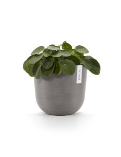 Tiesto OSLO 25 Taupe  Elegancia y Durabilidad para Interior y Exterior

 2