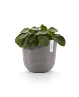 Tiesto OSLO 25 Taupe  Elegancia y Durabilidad para Interior y Exterior

