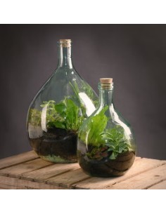 BOTELLA TERRARIO 15L 2
