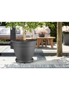 PLATO CON RUEDAS UNIVERSAL 35CM ANTRACITA 2