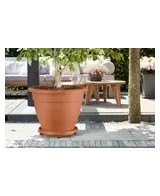 PLATO CON RUEDAS UNIVERSAL 40CM TERRA