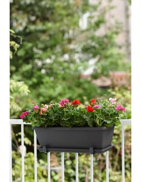 Plato para maceta 50 cm Antracita Barcelona | Endanea Garden