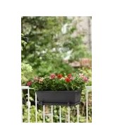 Plato Barna XL 80 cm Antracita | Endanea Garden

