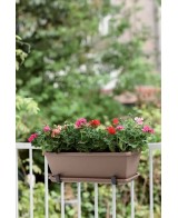 Plato Barcelona 50 cm Topo | Resistente y Elegante


