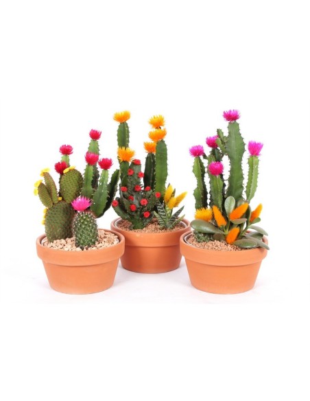 COMPO CACTUS DECORATED EN MACETA