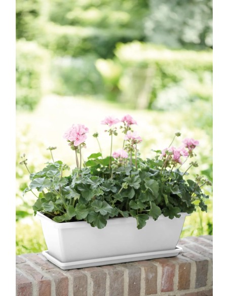 PLATO BARCELONA 70CM BLANCO