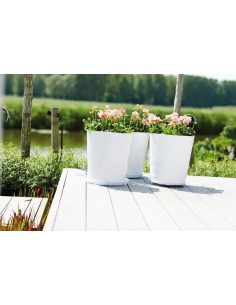 PLATO UNIVERSAL REDONDO 18CM TRANSPARENTE 2