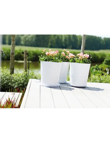 PLATO UNIVERSAL  REDONDO 16CM TRANSPARENTE
