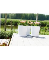 PLATO UNIVERSAL  REDONDO 16CM TRANSPARENTE