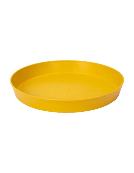 PLATO REDONDO UNIVERSAL 17CM MOSTAZA